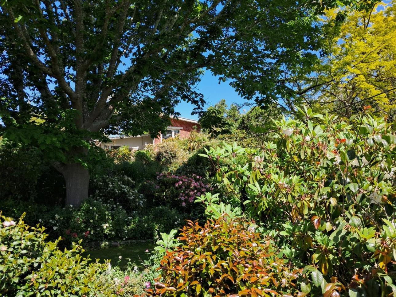 Waimate Niloc B&B 외부 사진